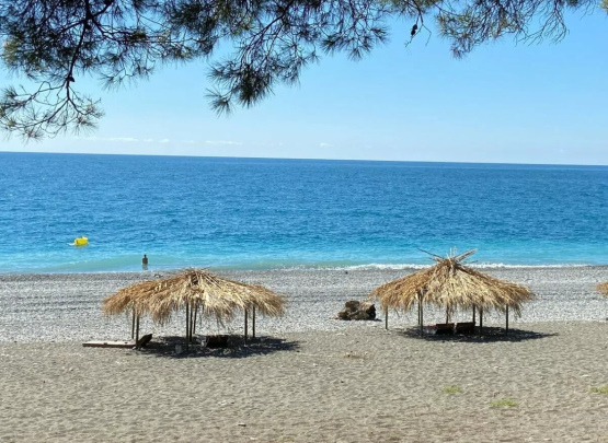 Pine beach Гостевой дом 2